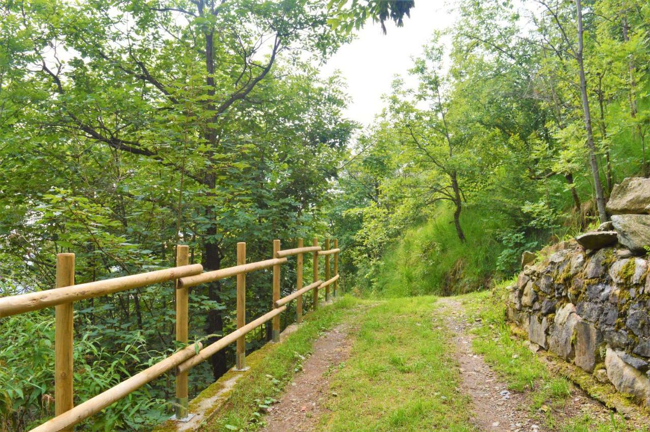 Gold Cave Casa Vacanze Relax Nel Bosco Appartamenti Pessinetto 外观 照片