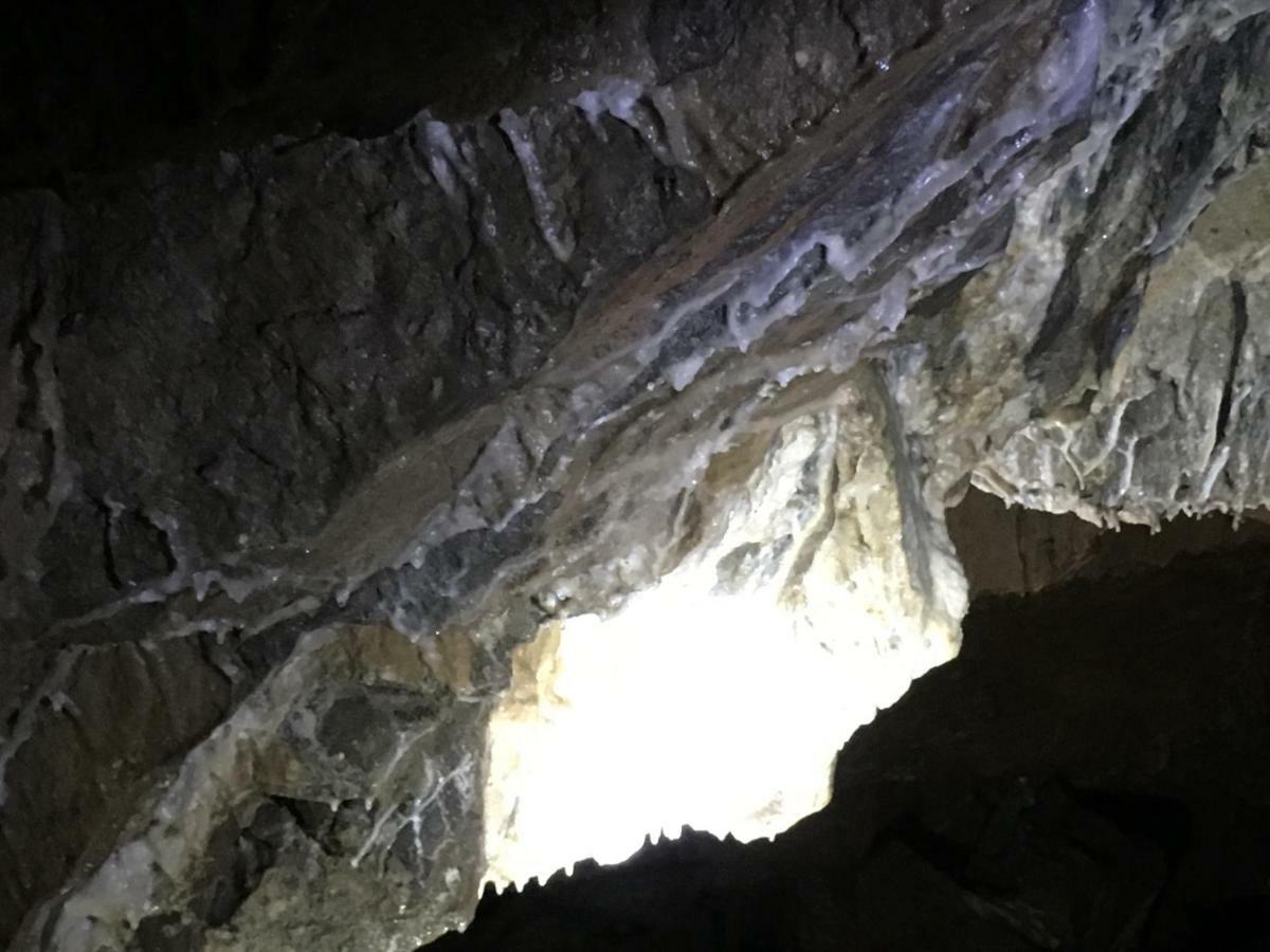 Gold Cave Casa Vacanze Relax Nel Bosco Appartamenti Pessinetto 外观 照片