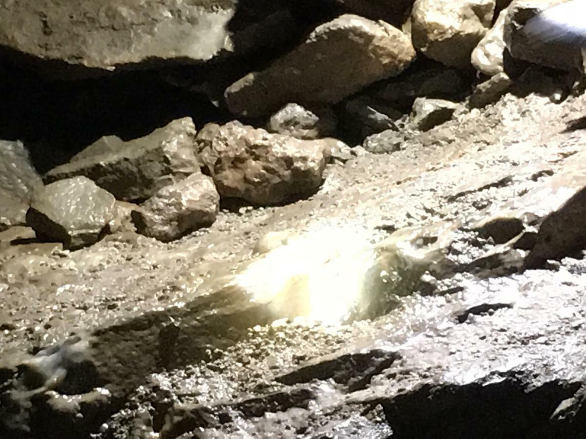 Gold Cave Casa Vacanze Relax Nel Bosco Appartamenti Pessinetto 外观 照片