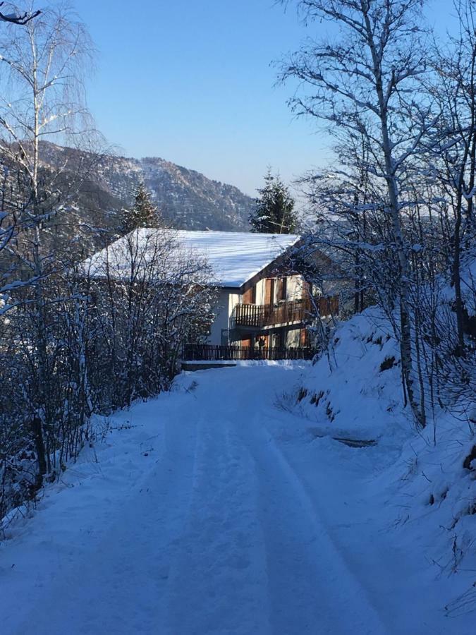 Gold Cave Casa Vacanze Relax Nel Bosco Appartamenti Pessinetto 外观 照片