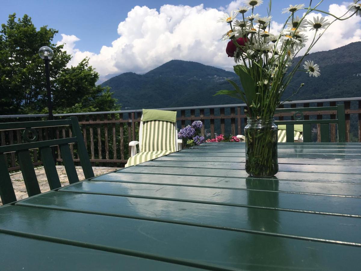 Gold Cave Casa Vacanze Relax Nel Bosco Appartamenti Pessinetto 外观 照片